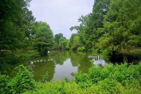 Burdette-pond-ar