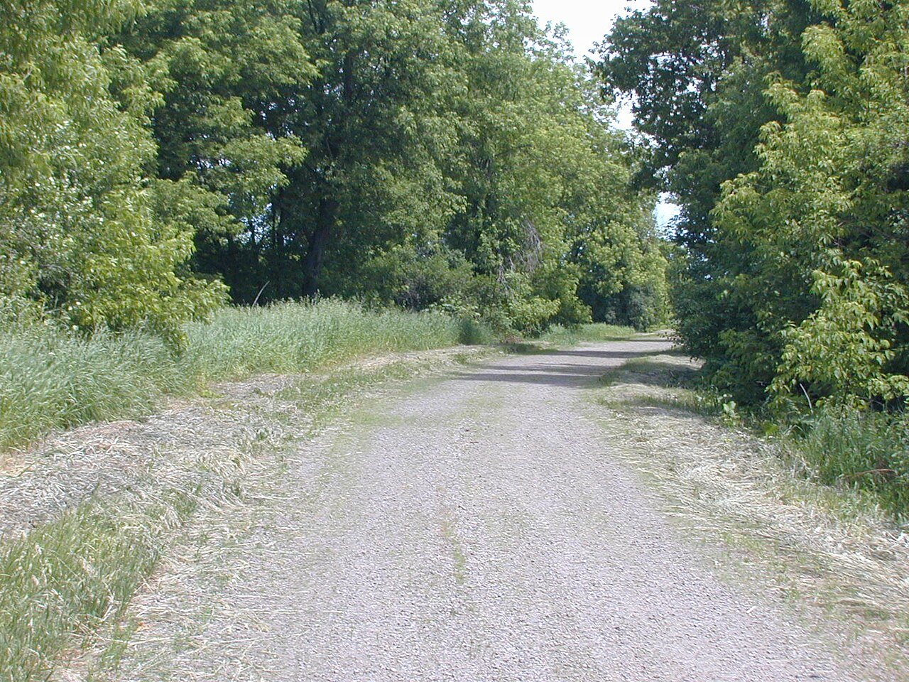 Luce Line Bike-Walk Trail, Cedar Mills to Hutchinson, MN
