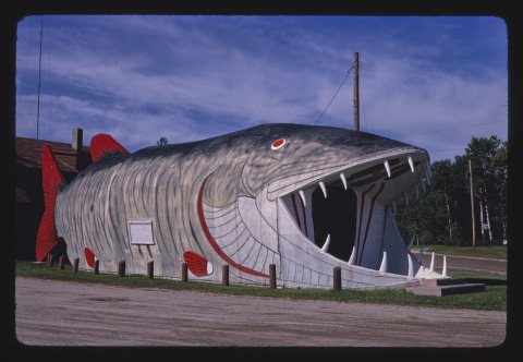 Big Fish Supper Club