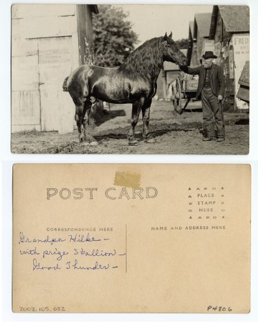 John Frederich Hilke with his prize stallion, Good Thunder, Minnesota - DPLA - c2ea90532ef37ea9d1797b22964b1380