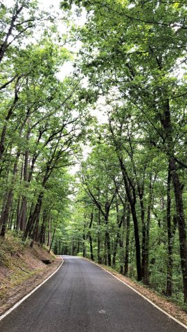 Hot Springs National Park