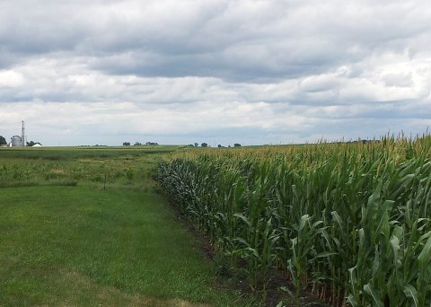 Wayside Rest - Gibbon, MN - panoramio (2)