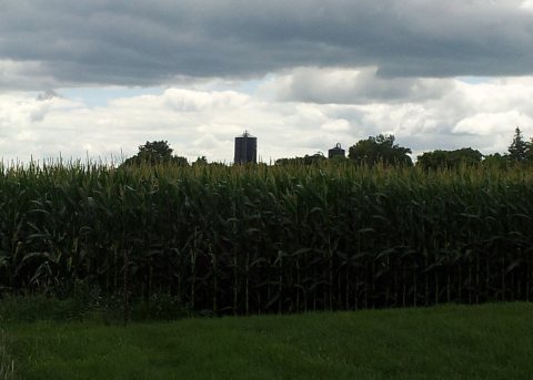 Wayside Rest - Gibbon, MN - panoramio (3)