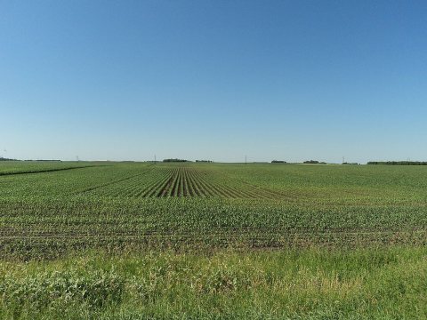 Franklin, MN - panoramio (3)