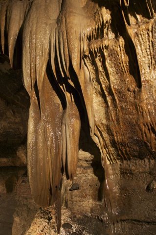 Granddad Stalactite in Niagara Cave