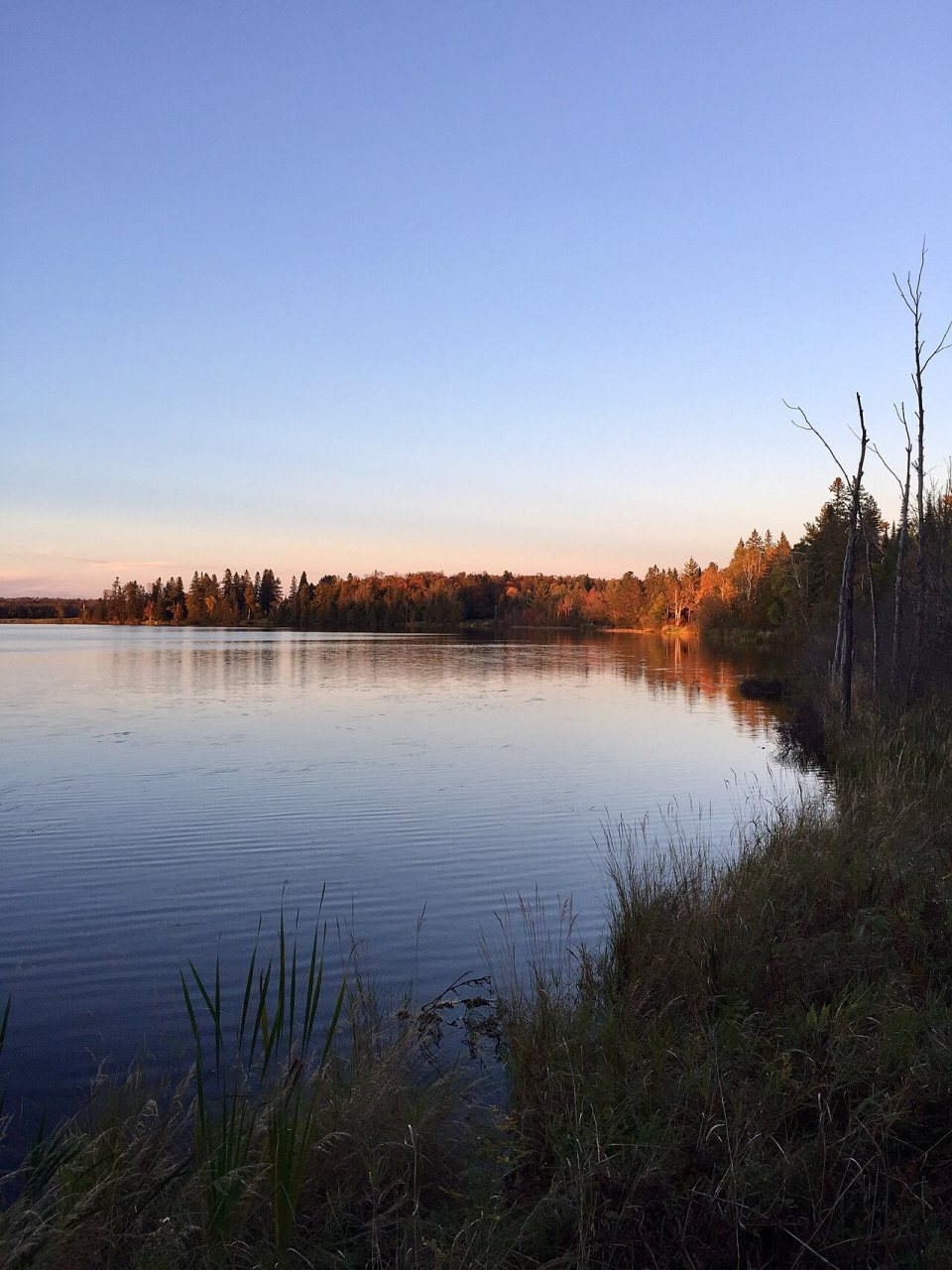 Eagle Lake, MN