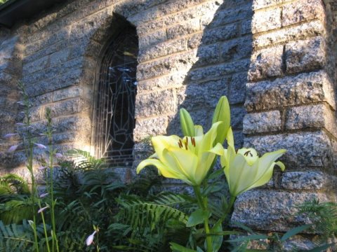 Lilies and Chapel Window, Grasshopper Chapel, July 2010