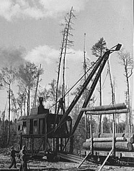 Loading logs onto railroad car