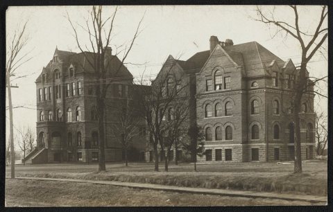 Albert Lea College