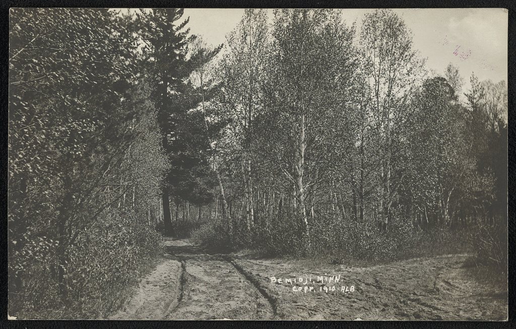 Bemidji, Minn