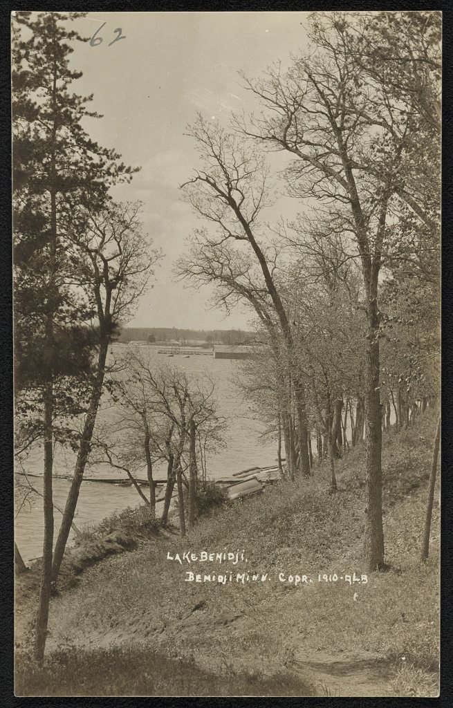 Lake Bemidji