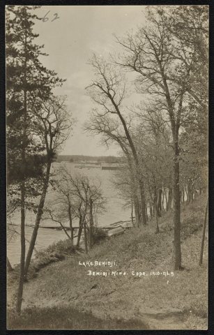 Lake Bemidji