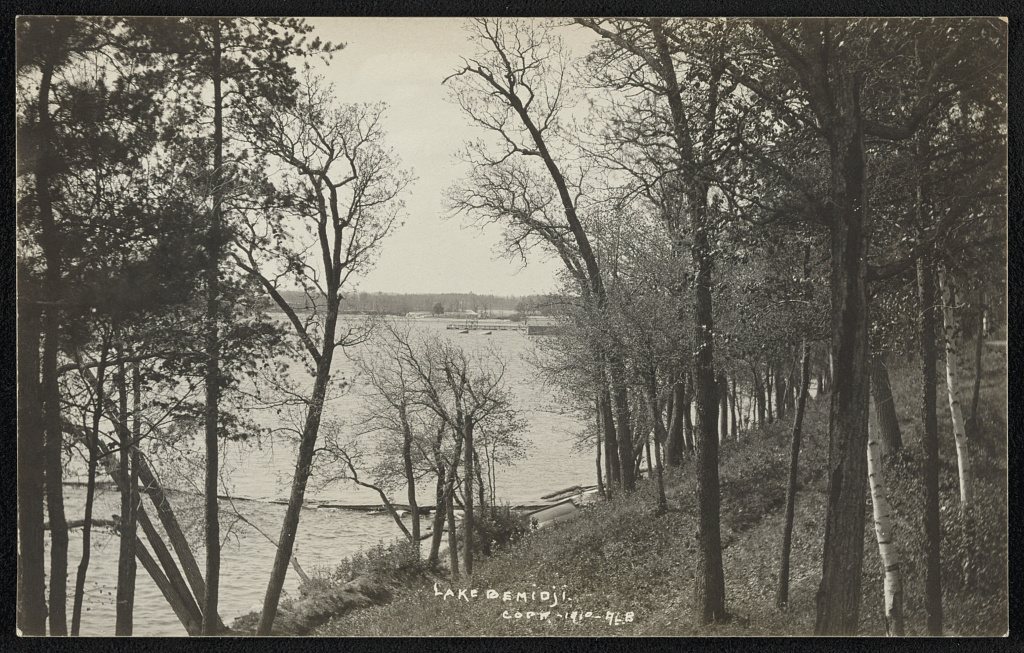 Lake Bemidji
