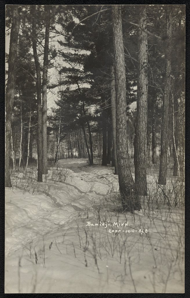 Bemidji, Minn