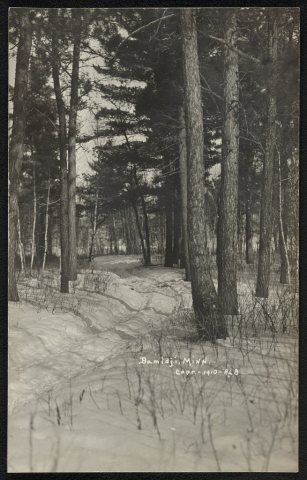 Bemidji, Minn