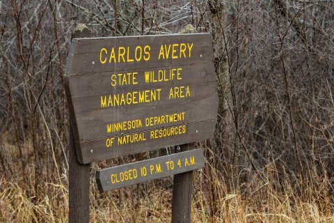 Carlos Avery State Wildlife Management Area - Minnesota