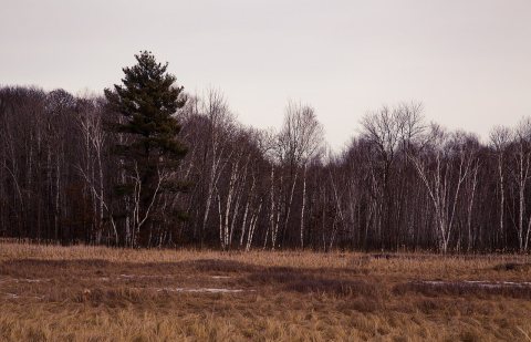 Carlos Avery State Wildlife Management Area Minnesota