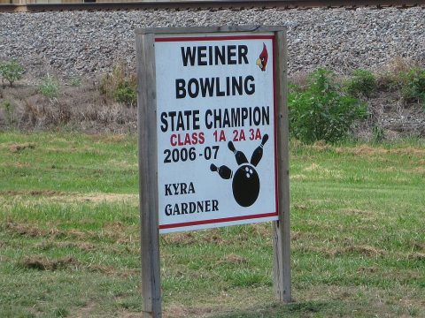 Weiner AR 005