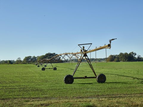 A "crawler" sprinkler in a farm field outside Lula, Mississippi