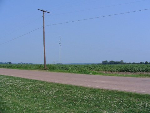 Planted field in Lula, Mississippi, on June 2, 2006
