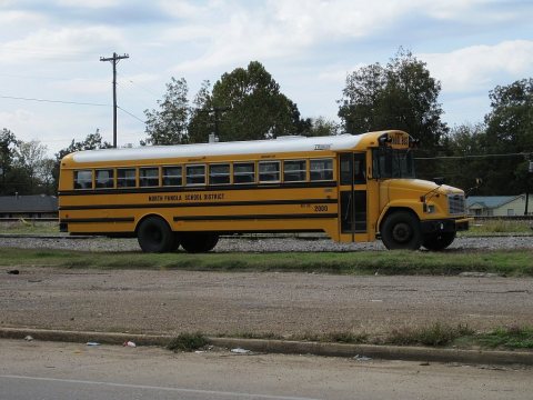 Crenshaw MS 005
