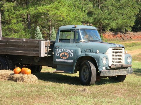 Old International Loadstar