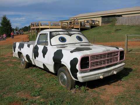 Bovine Dodge