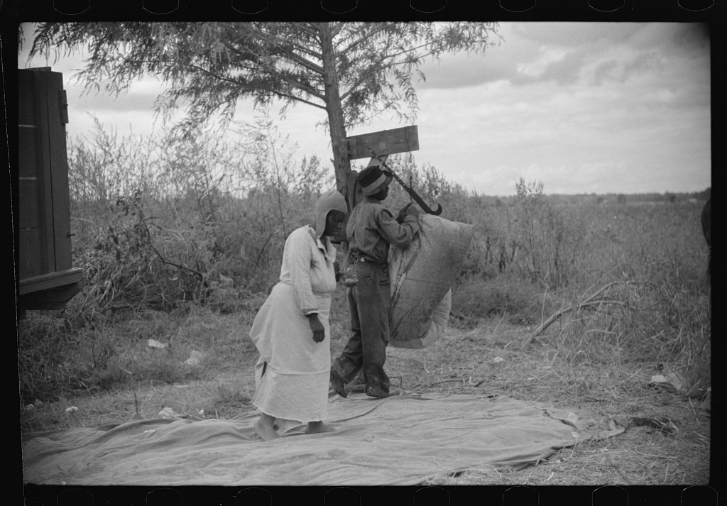 Untitled photo, possibly related to: Weighing and picking operations on Nugent cotton plantation