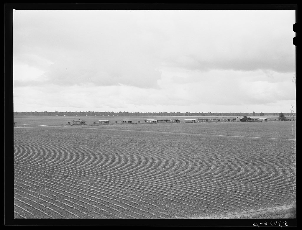 Tenant houses on cotton plantation. Rolling Fork, Mississippi