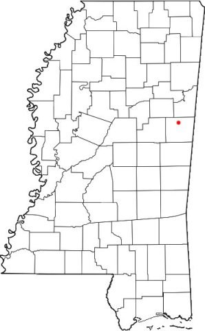 MSMap-doton-Brooksville