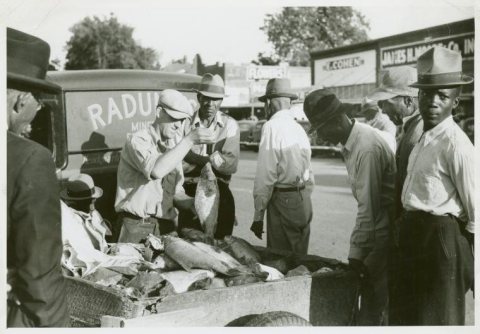 Selling fish on Saturday afternoon, Lexington, Holmes County