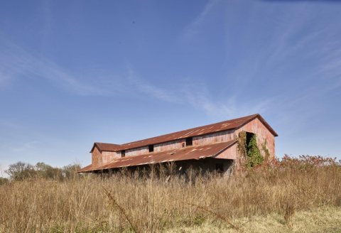 Large, abandoned barn near Taylor, Mississippi