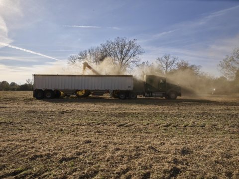 Dusty scene as a farm truck and equipment gather the remains of the year's crop after a harvest for use as fodder, or s…
