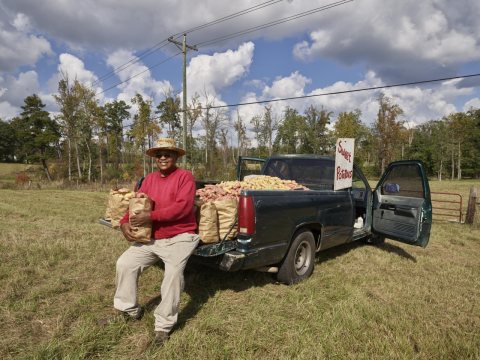 Wardell Camper of Covington, Mississippi, sells sweet potatoes by the side of the road near Mt. Olive, Mississippi