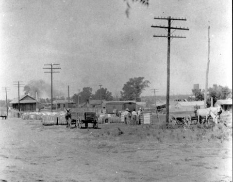Cotton bales near Flora Railroad Depot