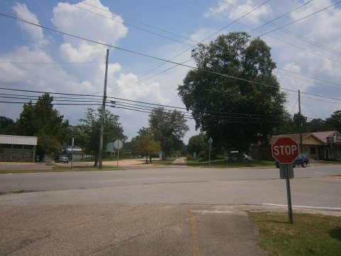 Longleaf Trace - panoramio (1)