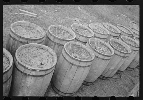 Turpentine still