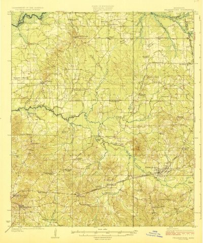MS Pelahatchee 337038 1924 62500 geo (TIF)