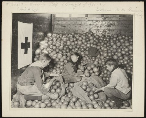 Boy Scouts of Cleveland, Mississippi, greatly aided the Red Cross in unloading a carload of oranges and grapefruit, don…