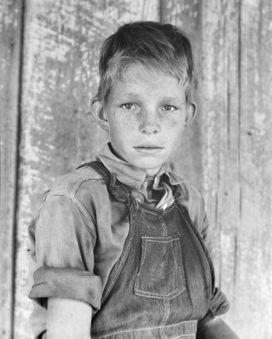 Twelve year-old son of a cotton sharecropper near Cleveland, Mississippi, 8b32066