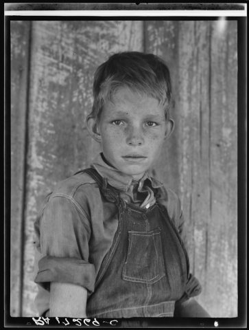 Twelve year-old son of a cotton sharecropper near Cleveland, Mississippi, 8b32066