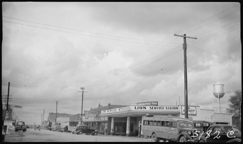 Lion Service Station