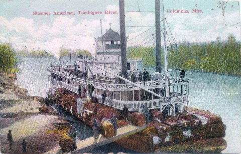 Postcard of Steamer "American" on Tombigbee River at