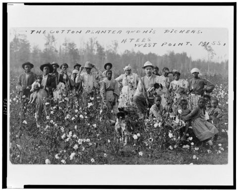 Sharecropper Sam Williams with family members and laborers in cotton field