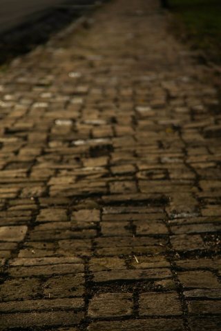 Brick Sidewalk