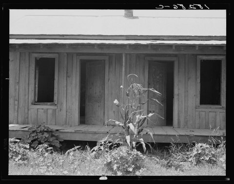 Mechanization in the Arkansas Bottoms was beginning to expel farm people by 1937, adding to the refugees to the west co…