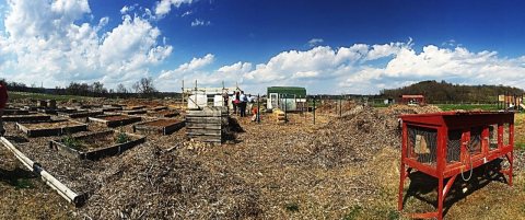 The Flippin School District Community Garden in Flippin, AR