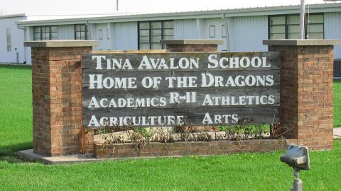 Home of the Dragons^ Tina-Avalon School