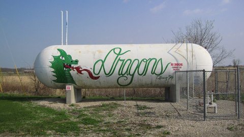 The Tina-Avalon Dragons