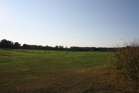 Hayfield adjacent to Spring River in